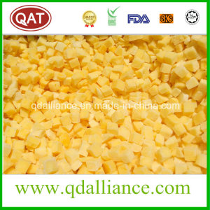 IQF Frozen Diced Mango with Good Quality